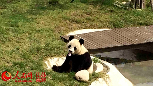 一起来看看如何正确使用眼霜凯发K8有了黑眼圈怎么办？
