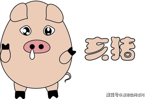 猪人的运势密码：机遇与挑战交织K8凯发国际2025乙巳年属(图1)