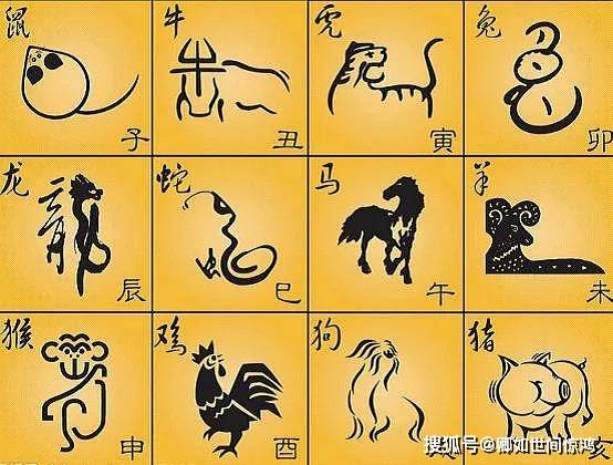 猪人的运势密码：机遇与挑战交织K8凯发国际2025乙巳年属(图2)